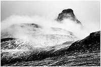 bw190